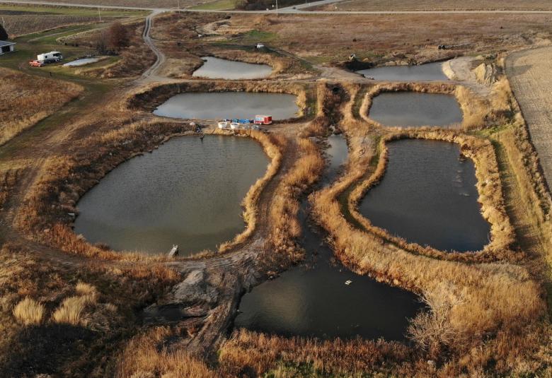 Photos Courtesy of Bickal Koi Farm
